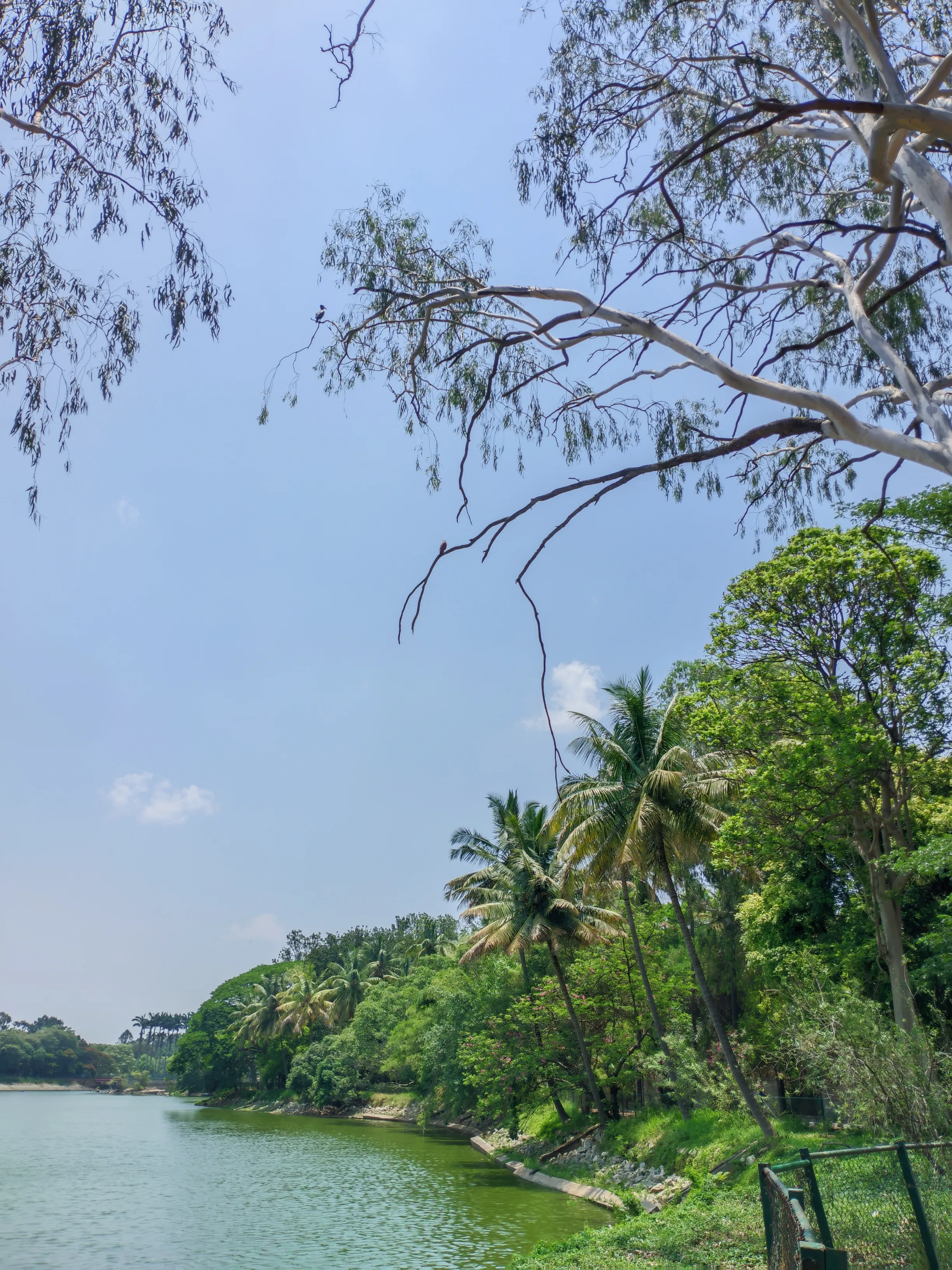 Riverbank