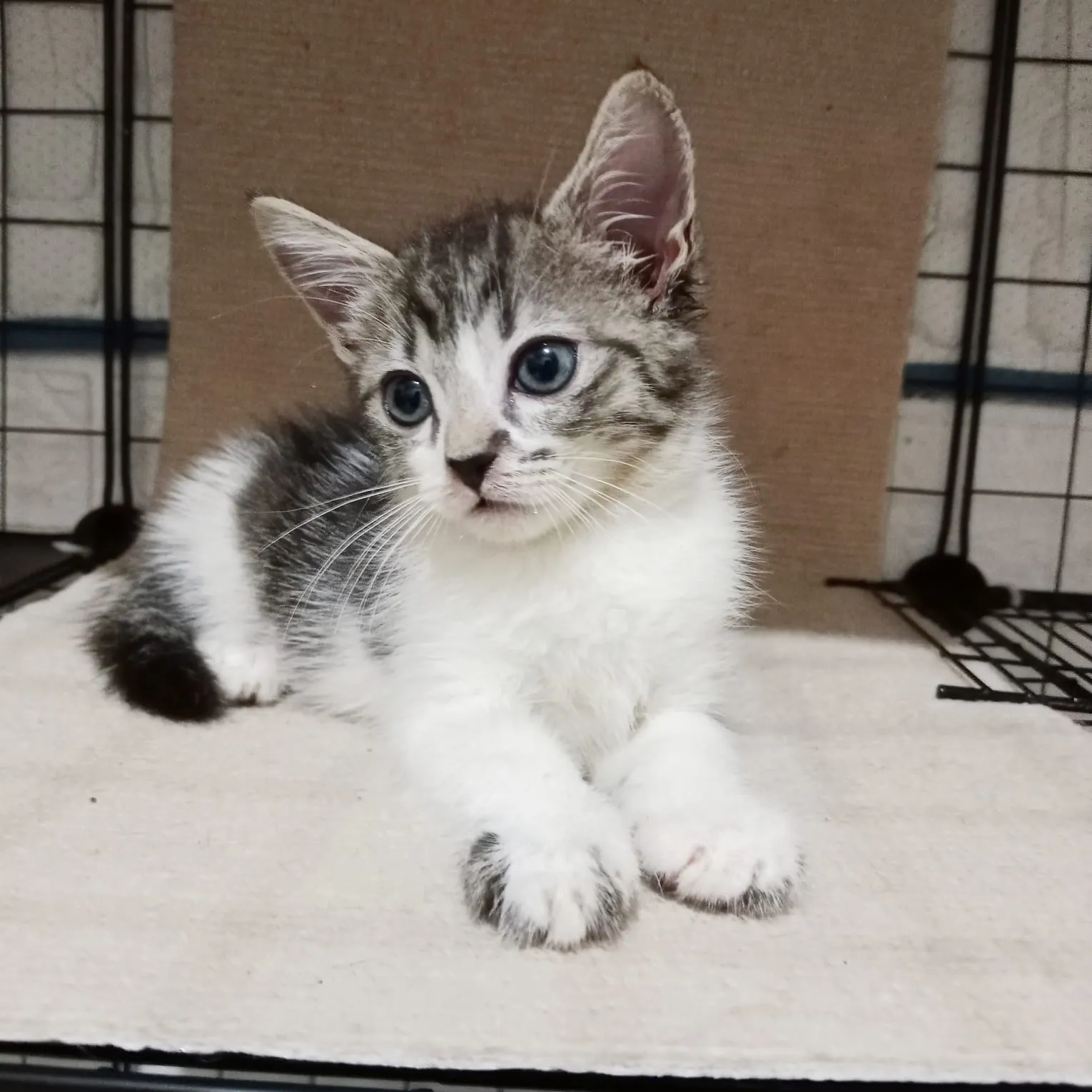 Solace posing for pic